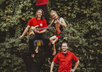 Zargenbruch auf Zaun